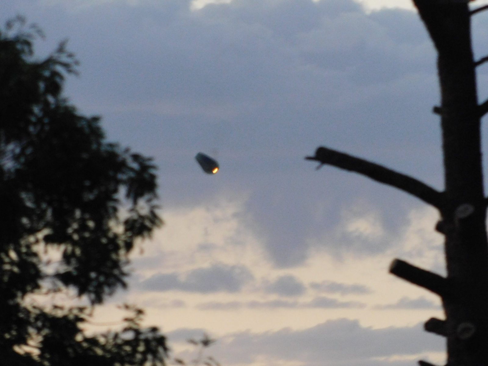 04-07-2019 UFO Sighting And Capture Albuquerque, New Mexico, U.S..jpg