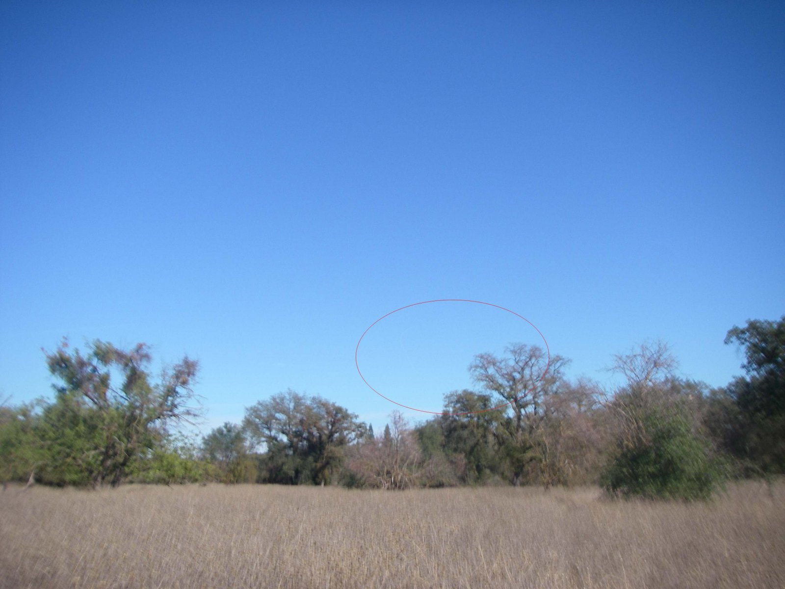 16-10-20 trail-4 1509 did 180degree turn, N of mile 19.JPG