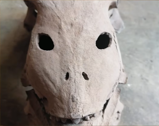 "Alien skeletons" in Mexican cave