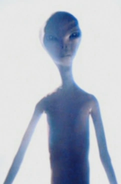 1779244098016.png