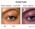 Why Narcissists' Eyes Turn Black: The Predatory Gaze, Pupil ...