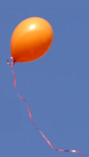 1779567284591.png