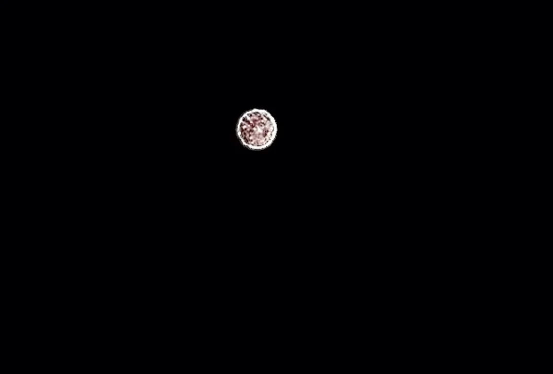 1781089387625.png