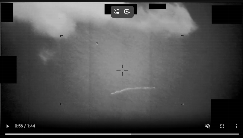 PR101 and other Birds in the PURSUE UFO files.