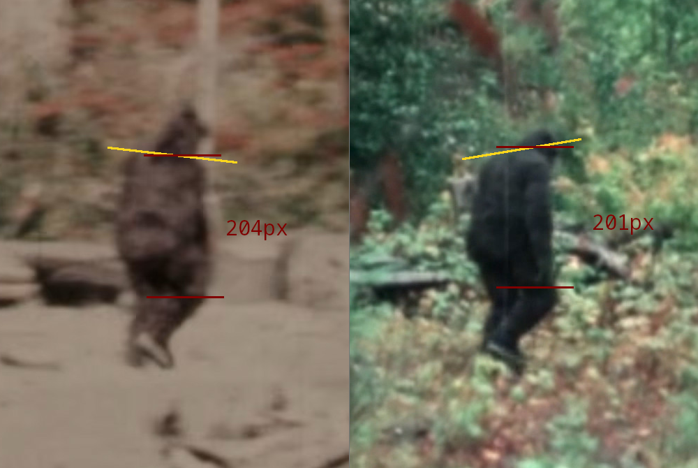 1793222943487.png