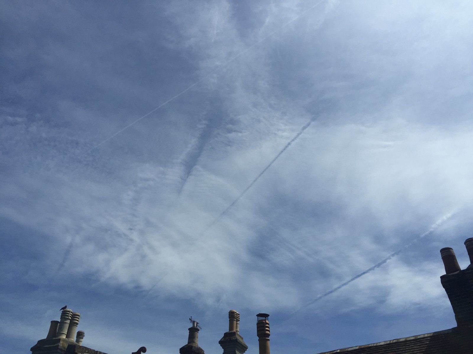 2015-06-25 11.55.33.jpg