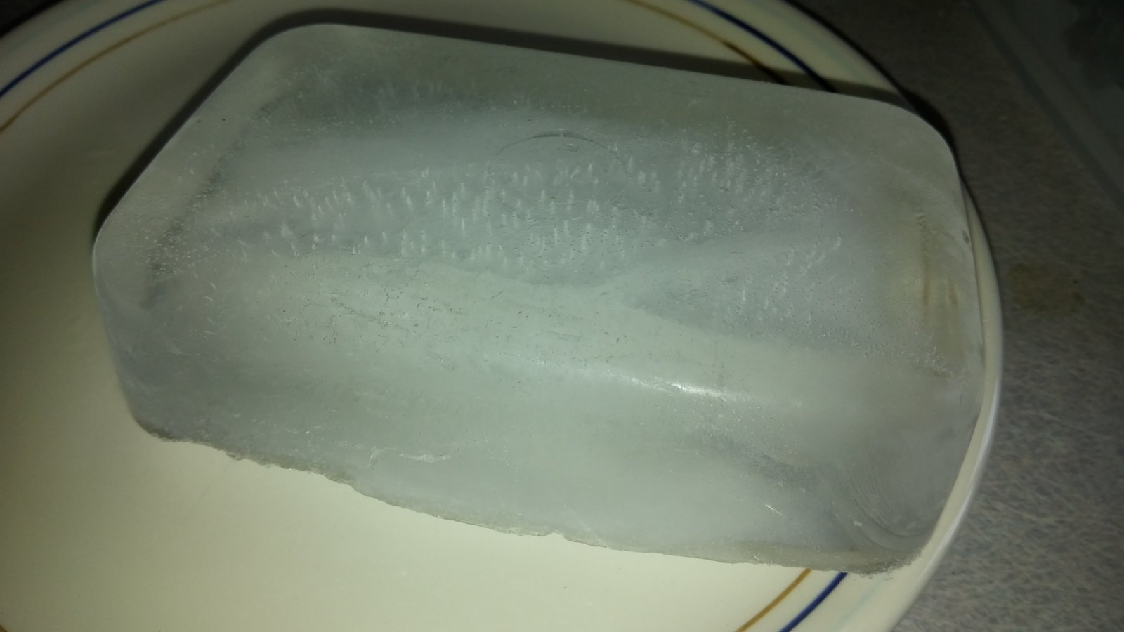 2016-01-31 13.32.56.jpg