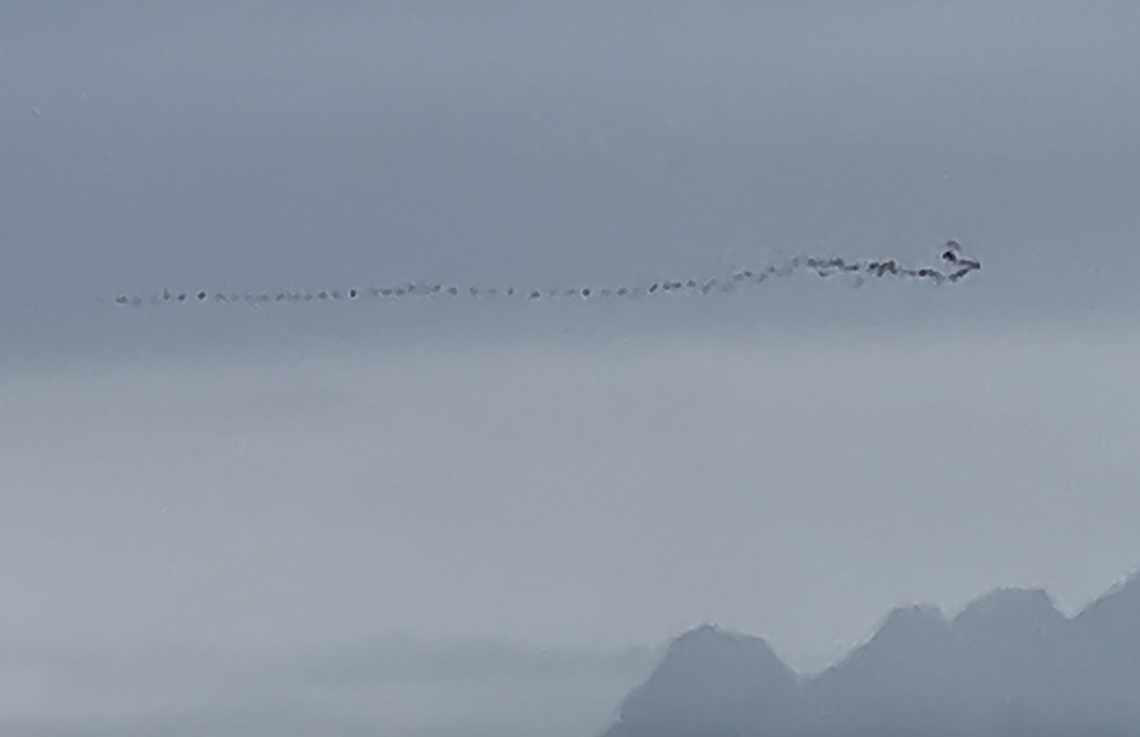 Flock of birds or something else?