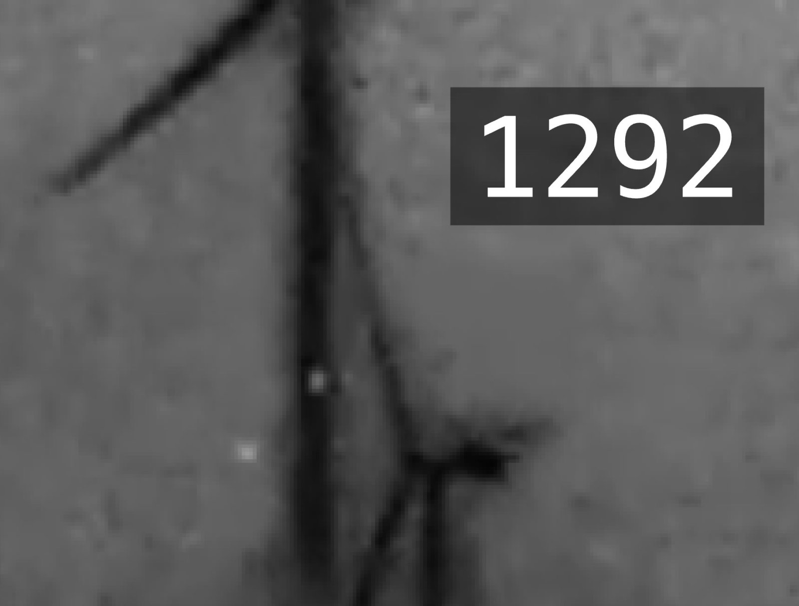 2026-05-09_17-54-35.jpg