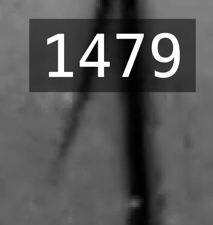 2026-05-09_18-03-03.jpg