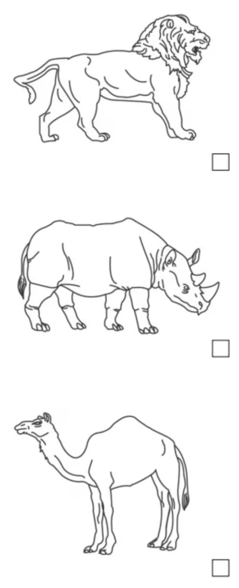 2026 07 21 Montreal Cognitive Assessment Name the critter.jpeg