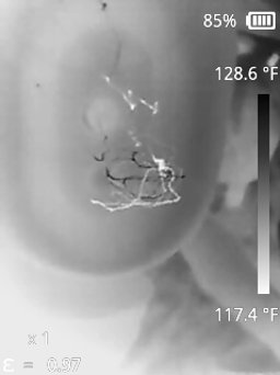 20260510145954-IR.jpg