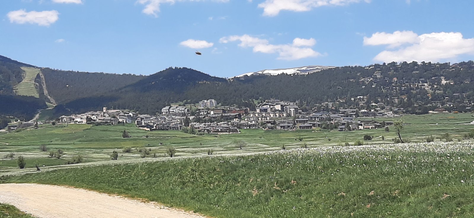 Sighting after taking picture of scenery