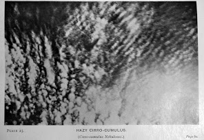 23 Hazy Cirro Cumulus (Cirro-cumuls Nebulosus).JPG