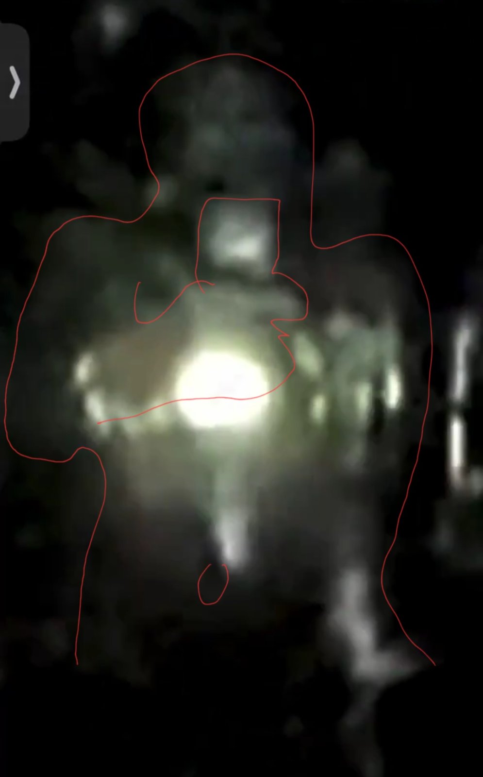 41242.jpg