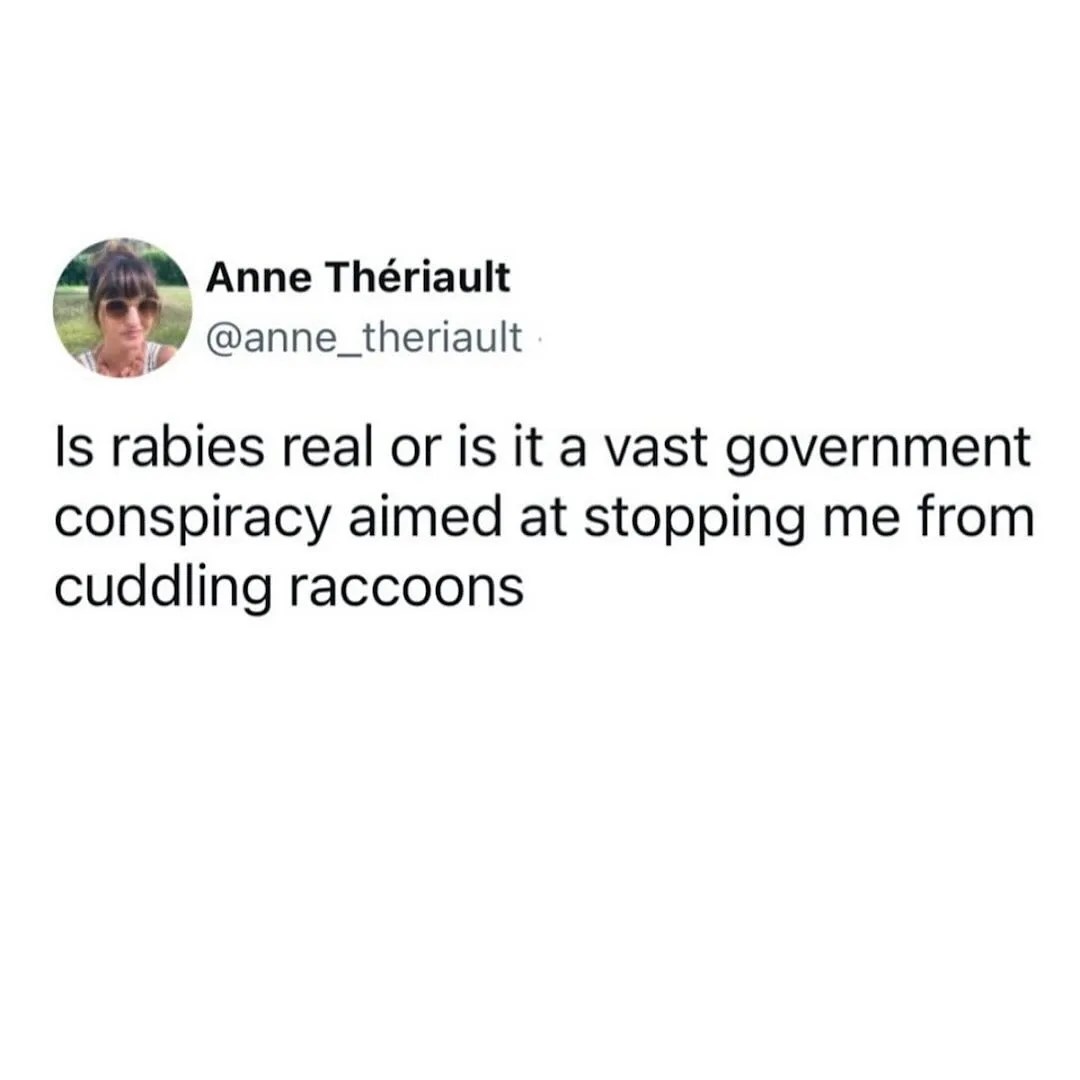 489459710_18273733792261452_2505832292048263449_n.jpeg