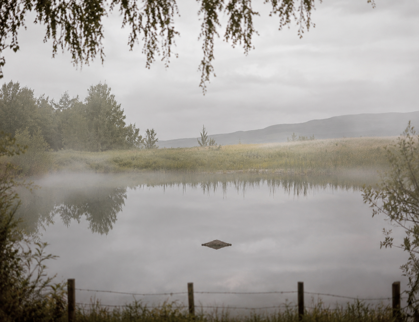 71D7B42C-F8A9-4431-B7B7-56154E93914A.png