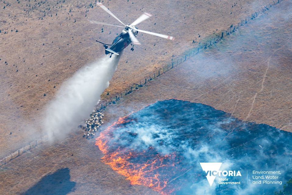 80897401_2427957127420998_6298812282545635328_o (1).jpg