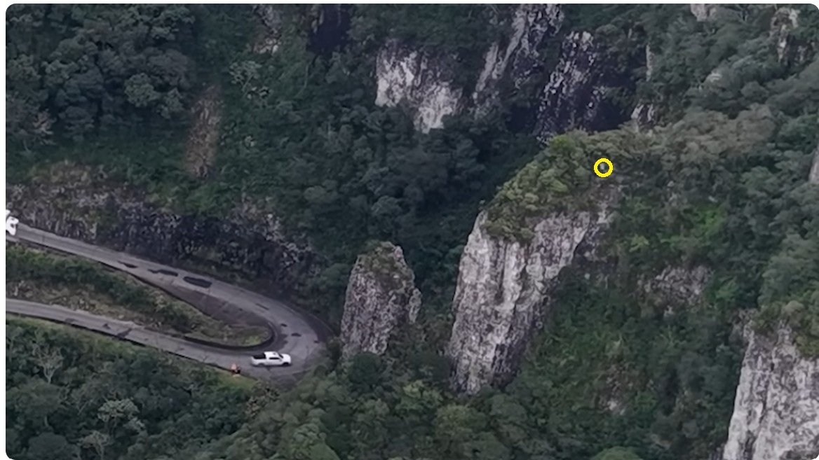 alien piantings 23-06 C.jpg