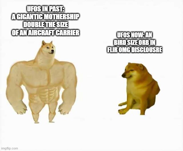 arnxeo.jpg