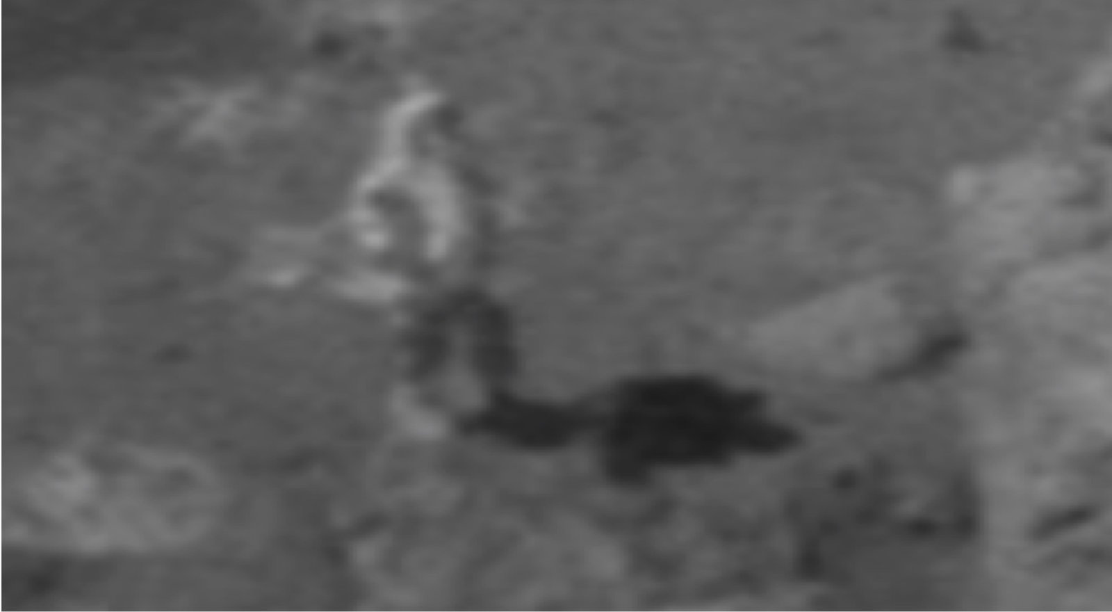 Astronaut reflection.jpg