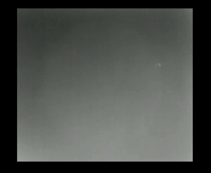 bird flying thermal.jpg