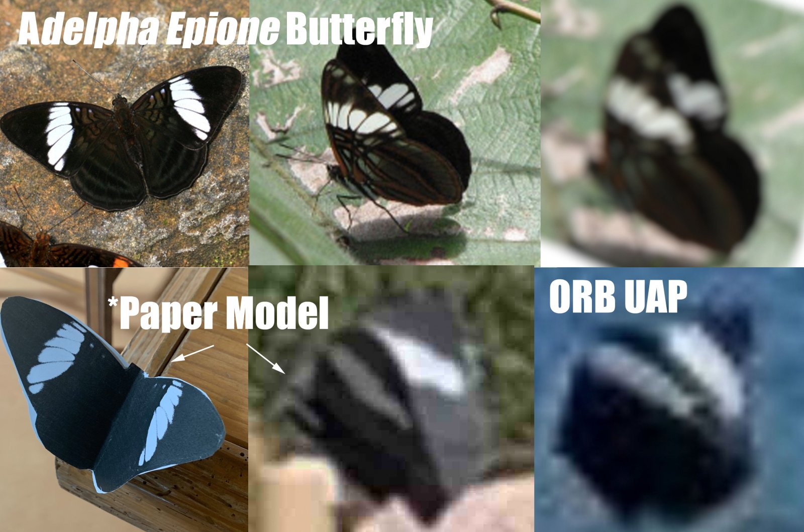 Butterfly UAP.jpg