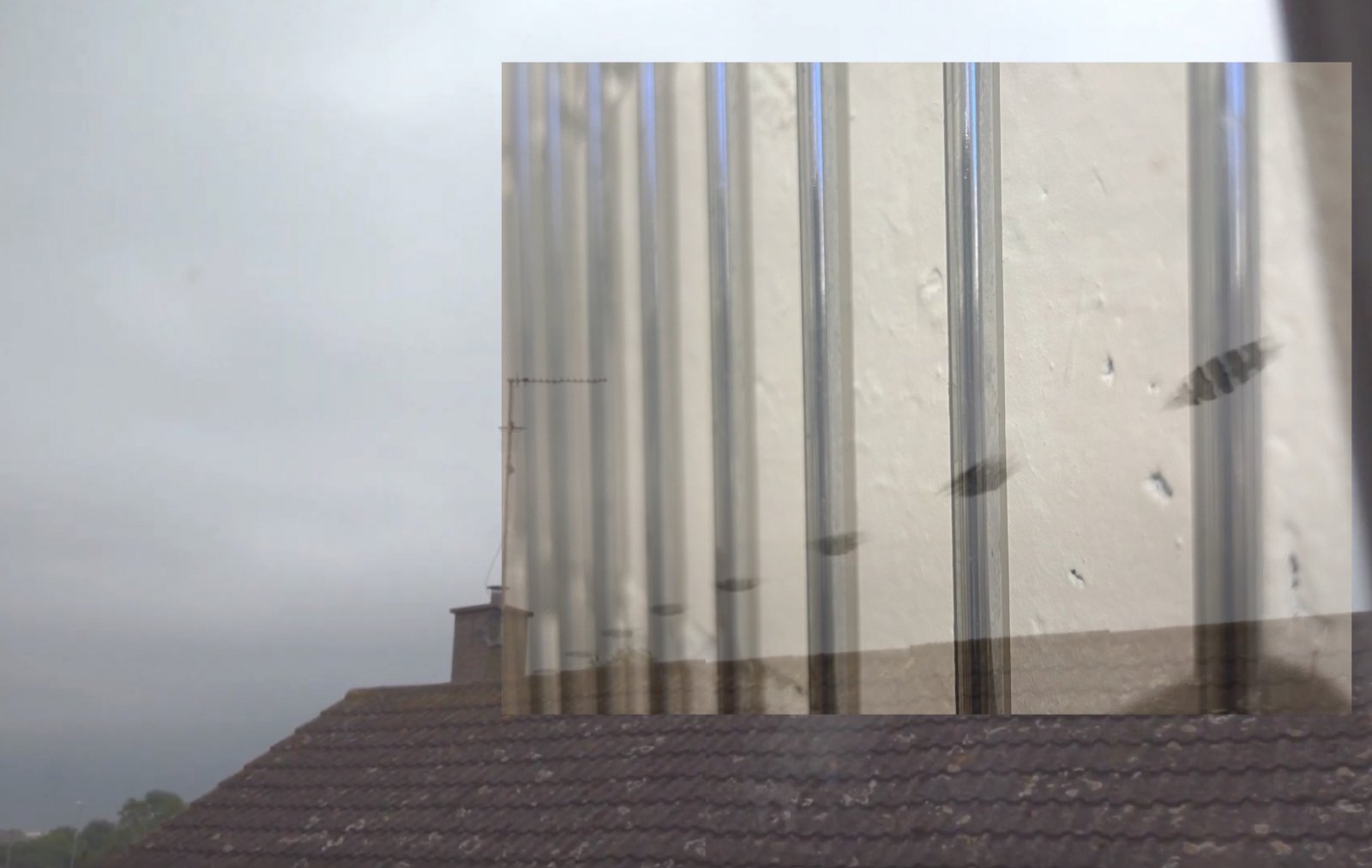 Cambridge UFO grid3.jpg