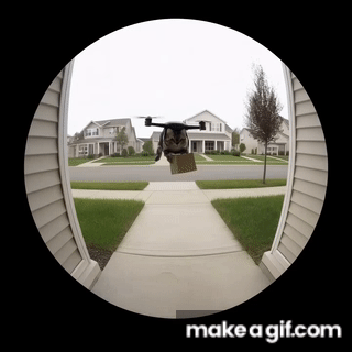 catdrone.gif
