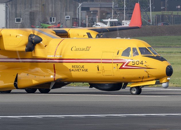 cc-295 Kingfisher.jpg