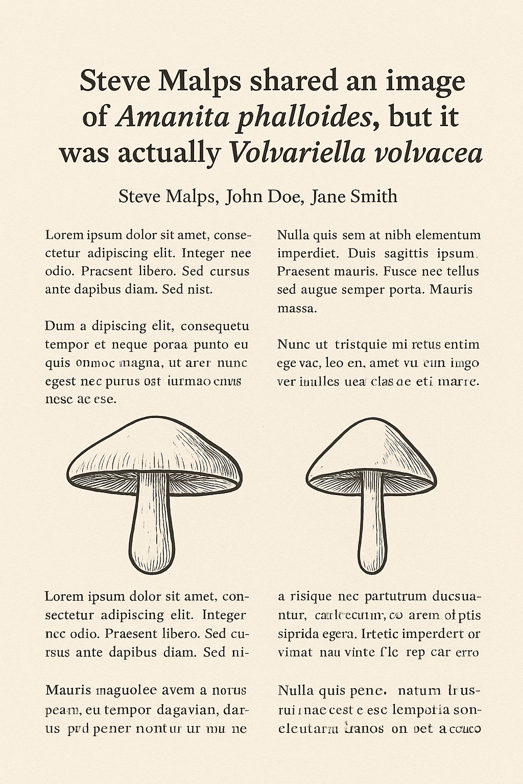 ChatGPT Image Oct 24, 2025, 03_16_09 PM.png