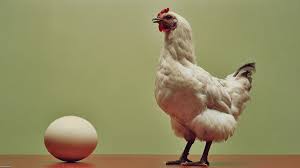 chicken egg.jpg