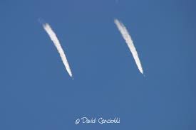 contrail 101.jpg