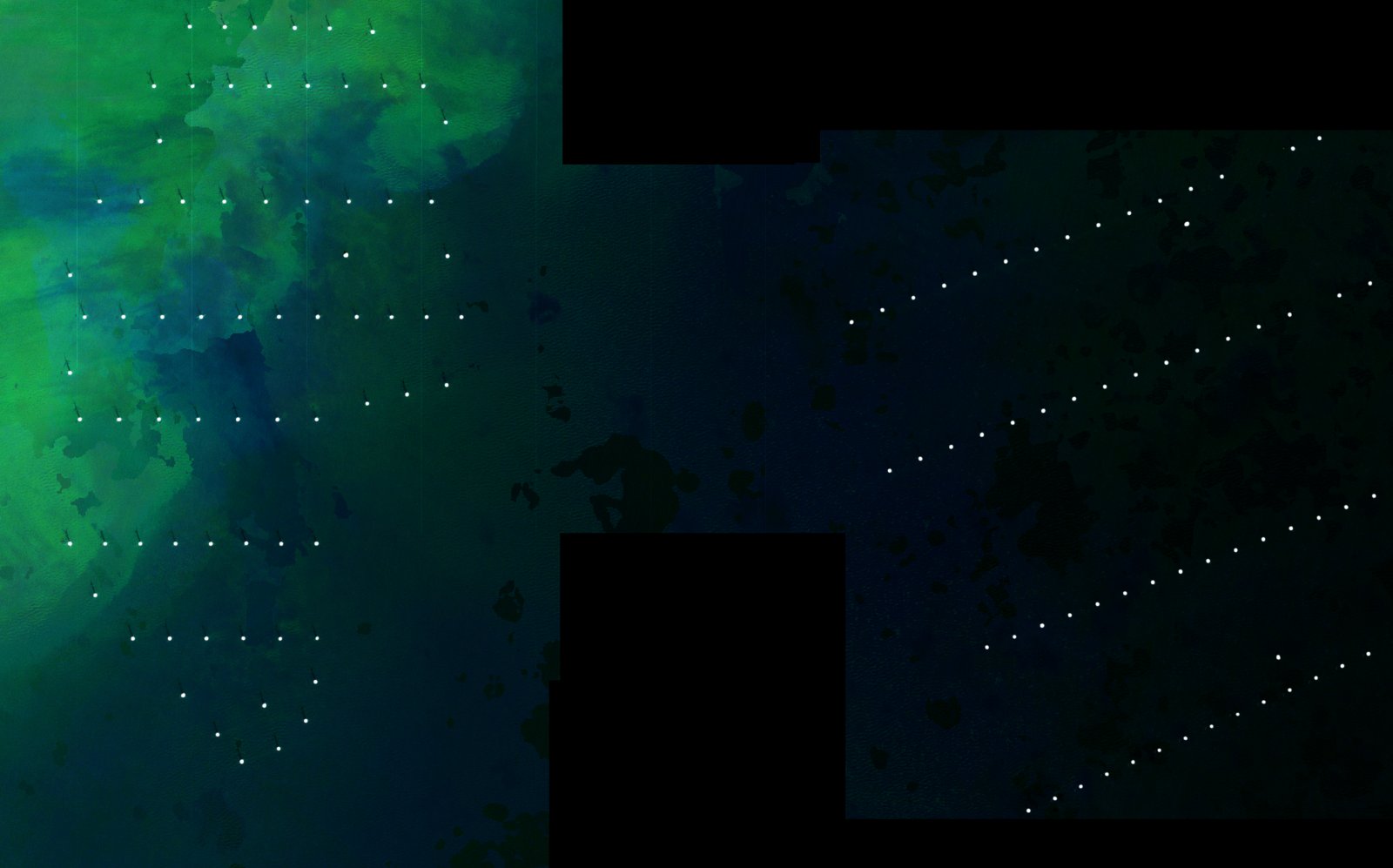 Copernicus stitch.jpg