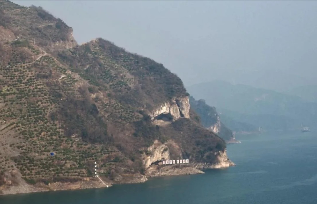 dog pareidolia 3.jpg