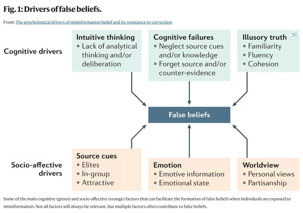 Drivers of false beliefs.JPG