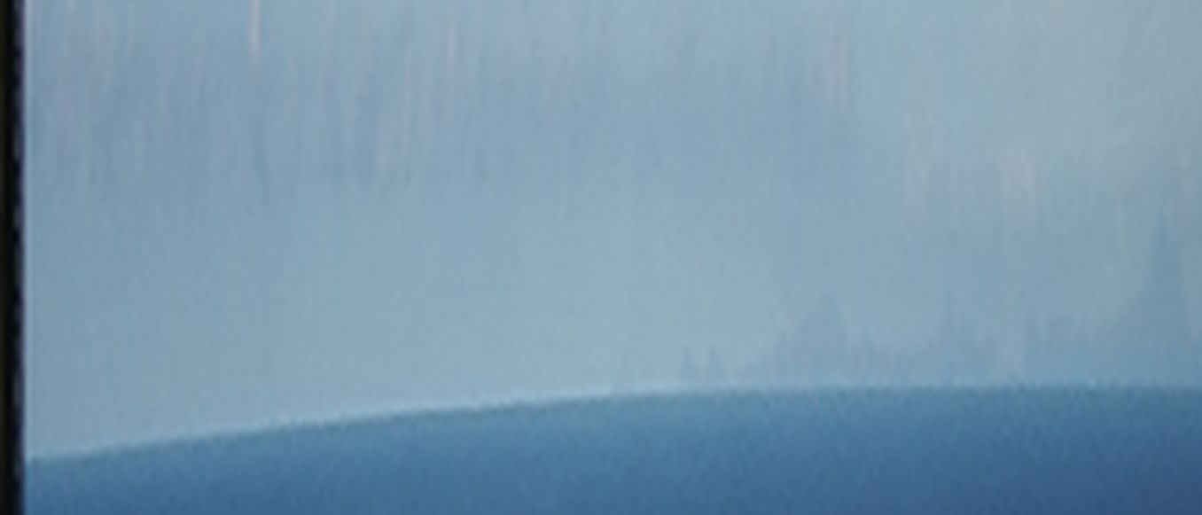 DSCF4762- x20 vert zoom.jpg