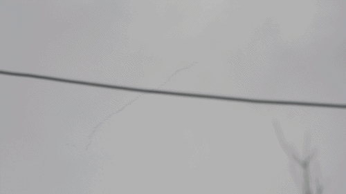 DSCN0517 clip ani.gif