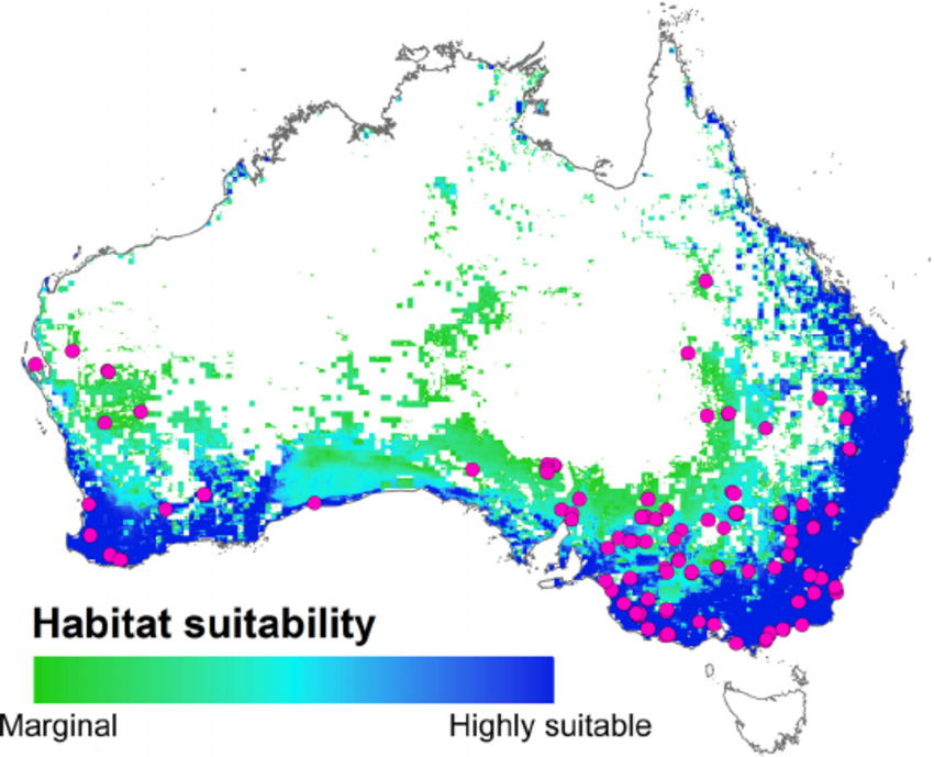 Estimated-potential-summer-habitat-suitability-map-for-emu-ranging-from-marginal-60.png