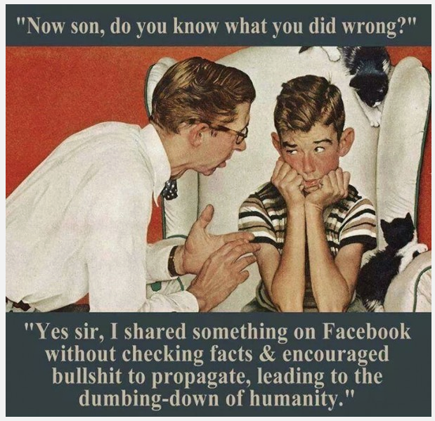 Facebook Spreading Bullshit.png