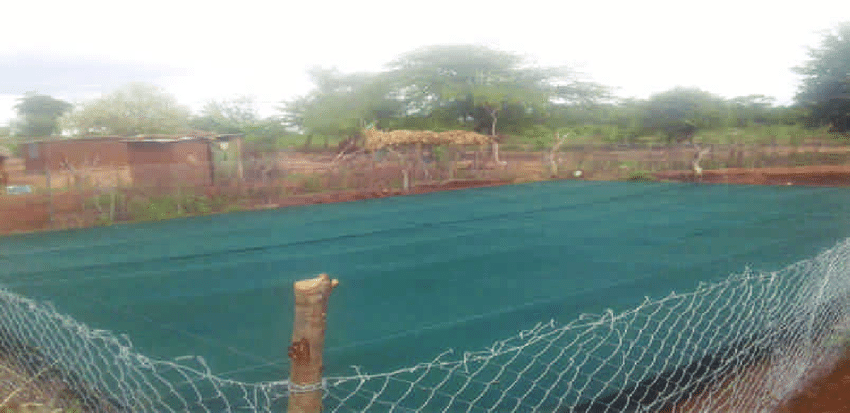 Fencing-the-farm-pond-with-chain-link.png