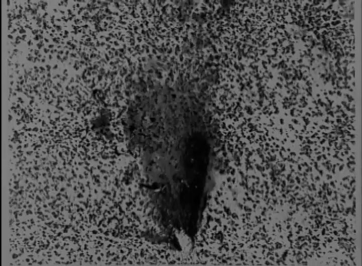 341.ROSWELL.41 - actually looked at the viral "crater" clip properly