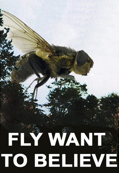 fly want to believe.jpg