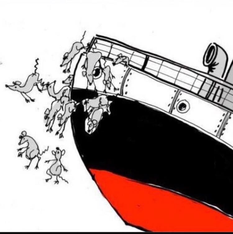 Fowler deserting a sinking Skywatcher.jpg