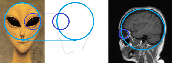 Gstreib Gart HSS.png