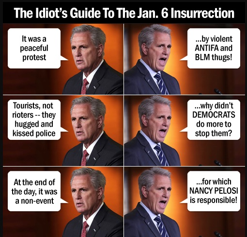 Idiots guide to Jan 6.jpg