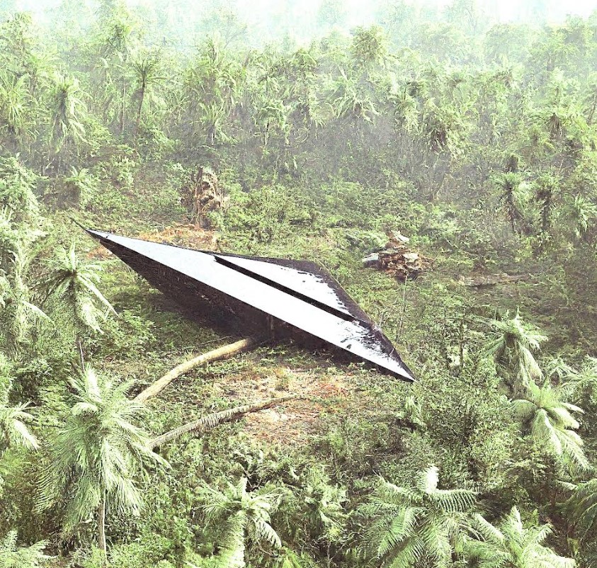 Vietnam vet's U-non-FO story
