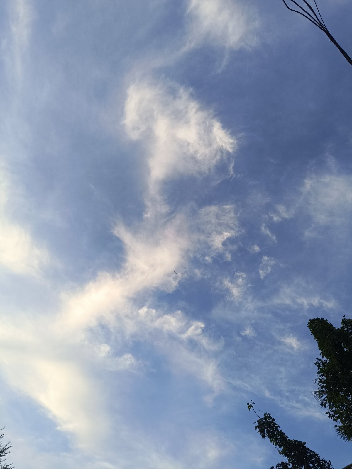 Sky anomaly, Dark Rod In Sky