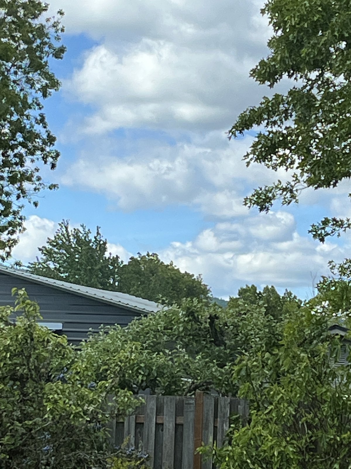 IMG_3201.jpeg