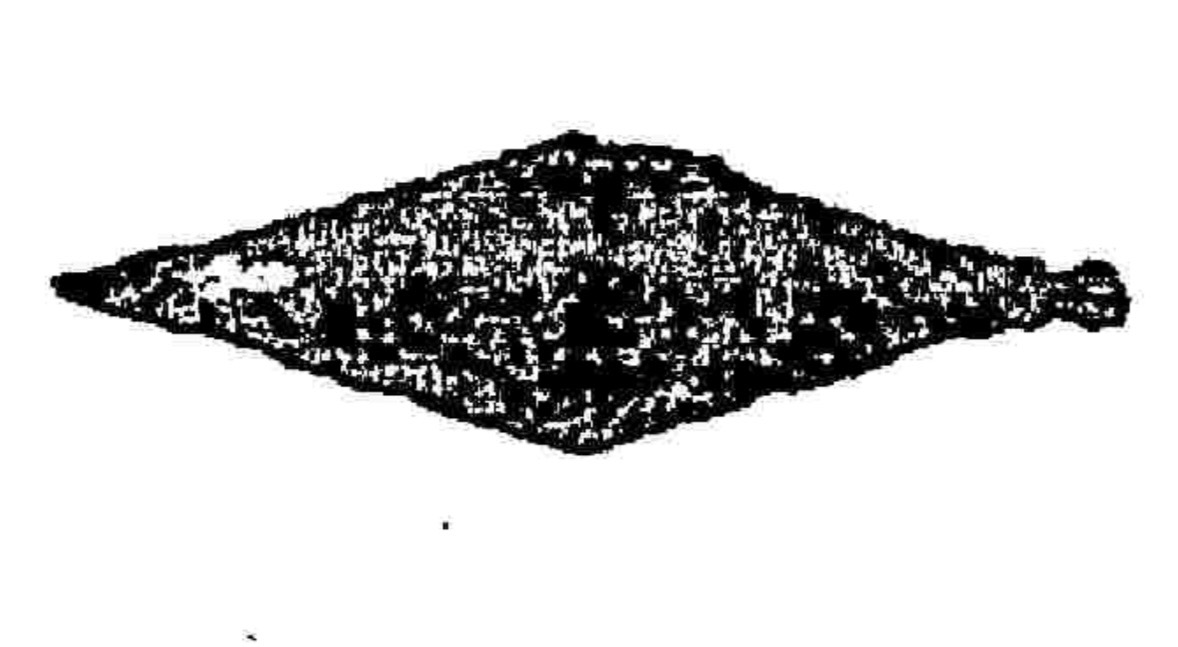 IMG_5116.jpeg